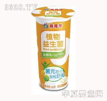 ����ţֲ��������