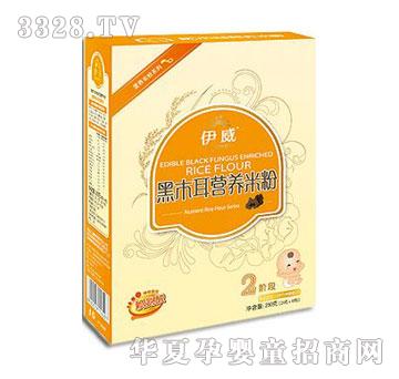 ���d����Q(m��o)��ľ���I�B(y��ng)�׷�