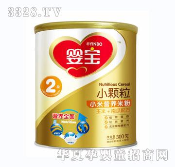 �댚300��С�w��С���׷�2������+�Ϲ��䷽