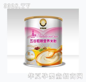 ��Ұ�OȤ̩��(gu��)����-��ȴּZ�I(y��ng)�B(y��ng)�׷ۣ�ȫ�Σ�