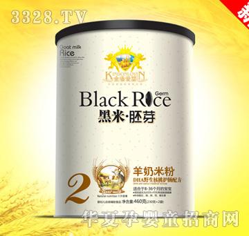 ��ܐۋ�DHAҰ�������o�c�䷽�����׷�Ͱ�b