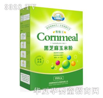 �����֥�����׷ۣ��У�