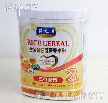 ������ȸ��}-3��