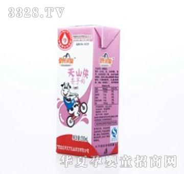 ������ɽ�b������