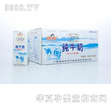 ������˼������ţ��