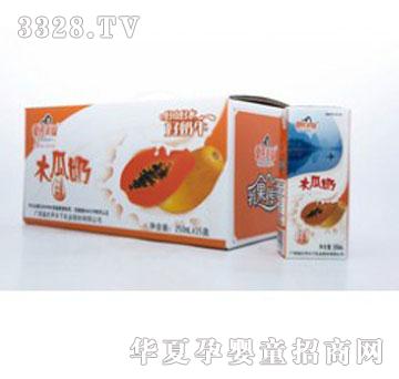 ����ľ����