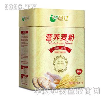 ؐ����������׷�