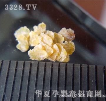 ���l(xi��ng)С����ѿ