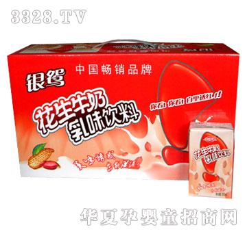 �����y�x����ţ��1x20��x24��