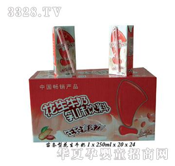 ������l�ͻ���ţ��1x20��x24��