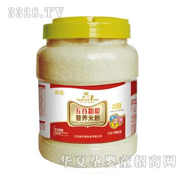 ��֥��ȴּZ�I(y��ng)�B(y��ng)�׷�