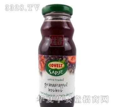 ���ʯ���{(l��n)ݮ�ЙC(j��)����֭