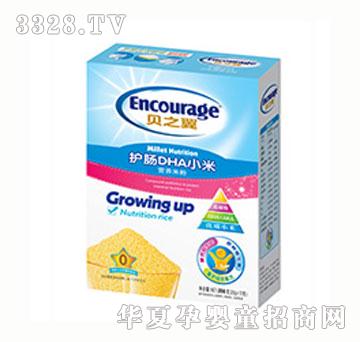 ֮ؐ��С��ϵ���o(h��)�cDHAС�נI(y��ng)�B(y��ng)�׷�0��