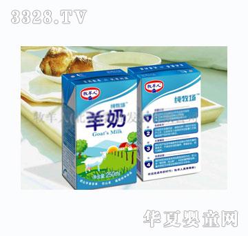 �����˼���������