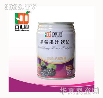 �مR�@��ݮ��֭245ml