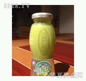 �t����J���ҹ��{���