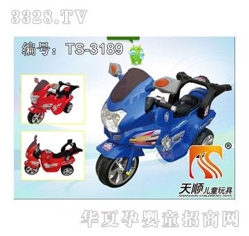 ��혃�ͯ늄�Ħ��܇TS-3189