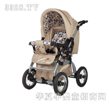 ��ؐؐ����ɫ���A��܇T333H