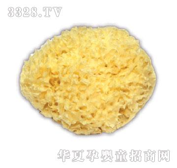 �냺SPA���к��؃�(y��u)�|(zh��)��d