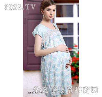 ��ۚg������E112011