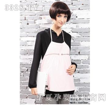 ��ۚg������101120