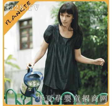 ؐ������ݗ��BAQ523-2