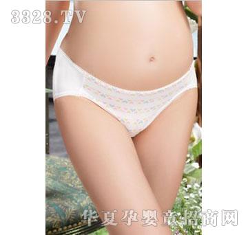 �����з��Foinn�����ЋD������(n��i)ѝ