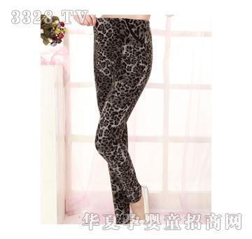 �������ЋD�b�r���n���@�ݱ��y�ӽq���ѝ