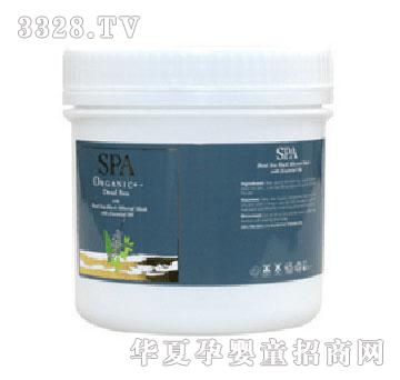 SPA����������