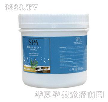 SPA���������}