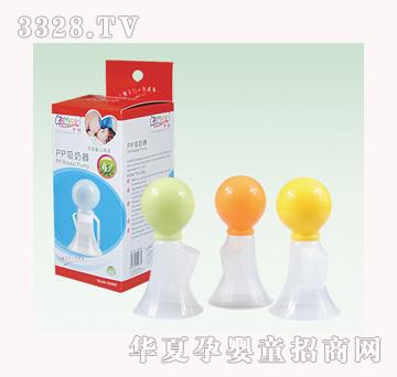 ����������(PP)