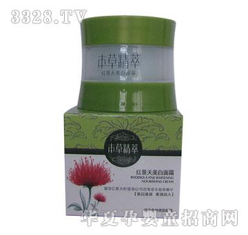 ��֮�x�t����������˪