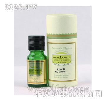 ��ɏ�_(d��)�ȼ�������