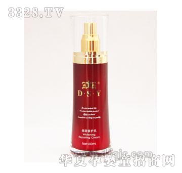 DSY�������o(h��)��