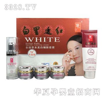 ��һ͡ȫЧ�ݱ��������w���һ���b�������棩