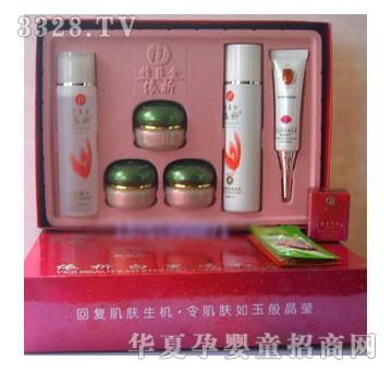 ��������͸�t3+3