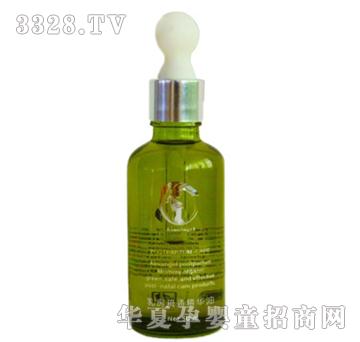 ������ʹ�鷿��ͨ���A��