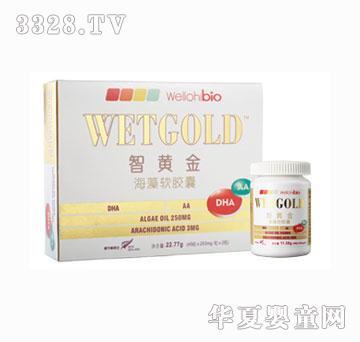 �݃�(y��u)ϲ���S����ܛ�z��