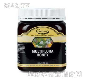 ���S���໨�N����500��