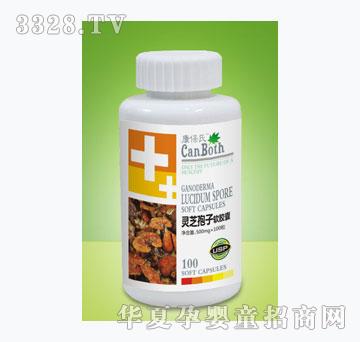 �������`֥����ܛ�z��