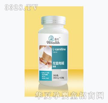 �W��������A�z��