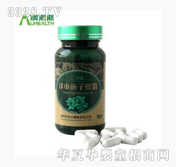 �ʺ���-��܇ǰ���z��