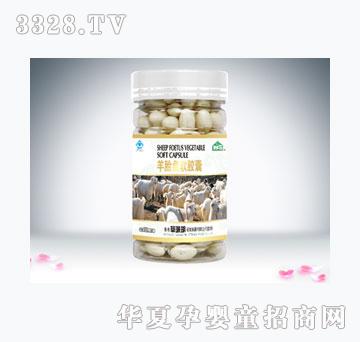 ɺ���u��̥�Pܛ�z��