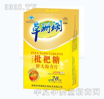 ��ȸ�������ִ󺣺�Ƭ�����У�