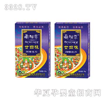 ���S��إ��ζ��(r��n)ɤ��Ƭ