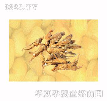 �����x��������