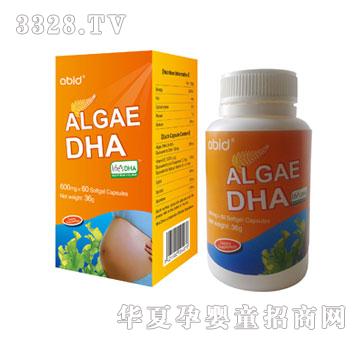 �۱��_���b����DHAܛ�z�ң��ЋD�b��