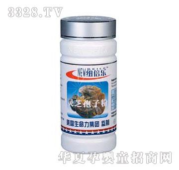 �~�����`֥�z��