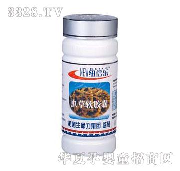 �~�������x�Ĳ�