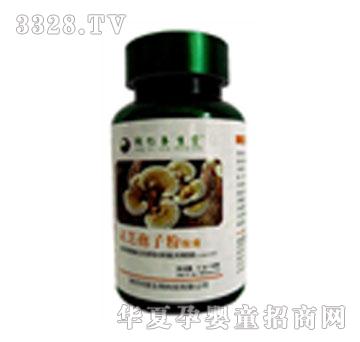 ͬʥ���`֥���ӷ�